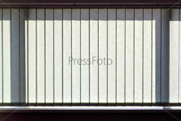 Modern vertical blinds on the window of the office