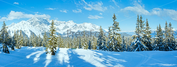 Winter mountain fir forest landscape ( Austria))