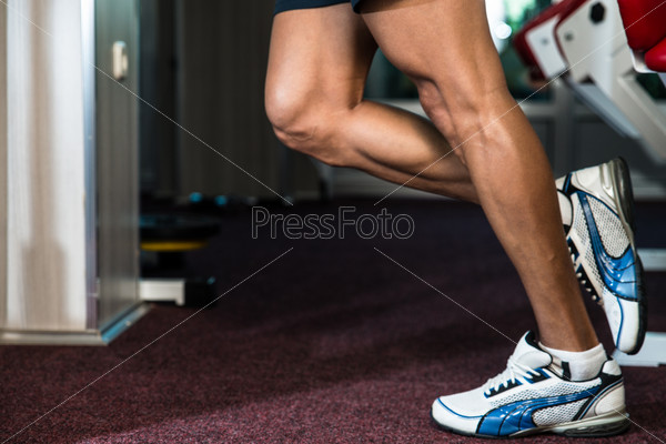 Sporty Legs Calf, stock photo