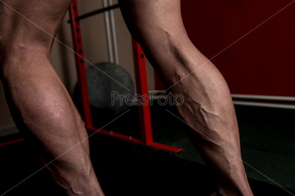 Muscular Man Calves, stock photo