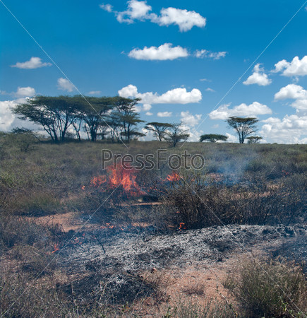 Wildfire in African savanna