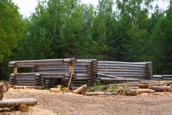 Making wooden pine log house