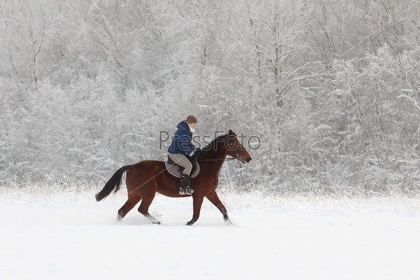 Young woman on horseback at winter day