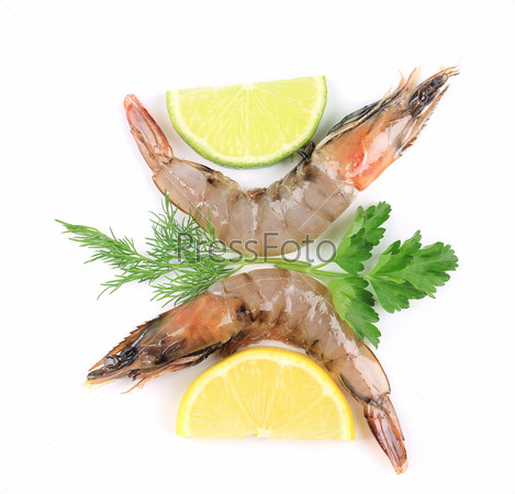 Two shrimps with lemon lime and parsley dill. Isolated on a white.