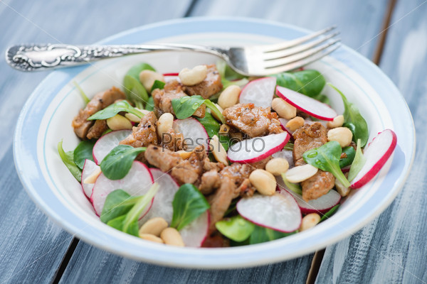 Indonesian salad with vegs, roasted meat and peanuts in a plate
