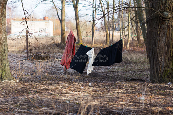 laundry drying in the breeze under the tree