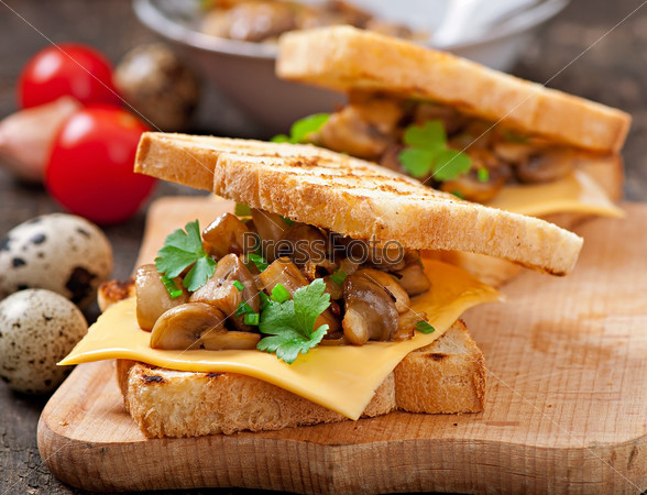 Toast sandwich with mushroom, cheese and parsley, selective focus