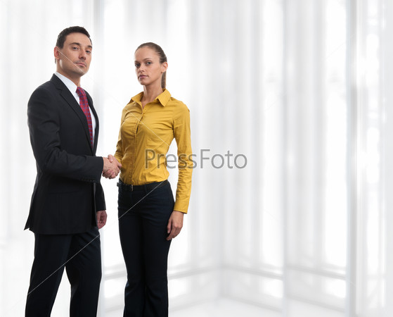 Business woman handshaking with a man