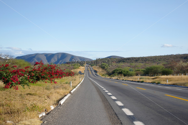 Road through mountains and plains of Mexico