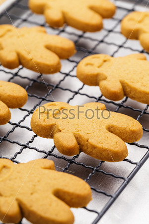 Baked gingerbread cookies close up