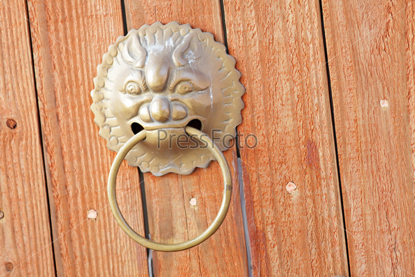 Chinese door with lion head