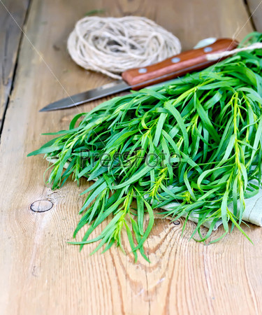Sheaf tarragon fresh green with hank of twine and a knife on a napkin on the background of wooden boards