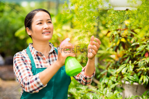 Happy Asian woman spraying water on plants in the garden