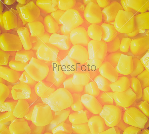 Vintage retro looking Maize corn food useful as a background