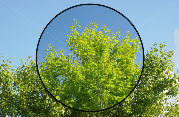 Effect of polarising filter on trees and sky to improve the appearance of landscapes - The sky is bluer and the leaves are greener