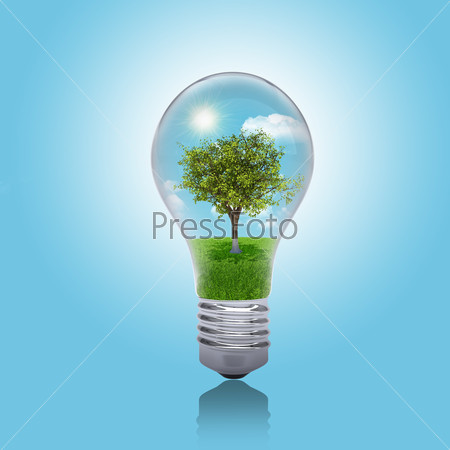 Trees, grass and sky in the light bulb