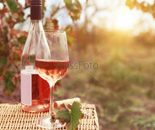 Бутылка розового вина в винограднике