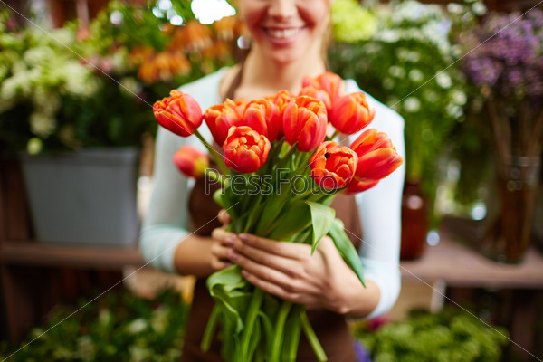Bunch of red tulips in female hands