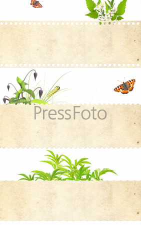 Collection of nature banners. Isolated on white background