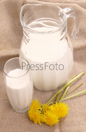 Glass jug with fresh milk and yellow flowers