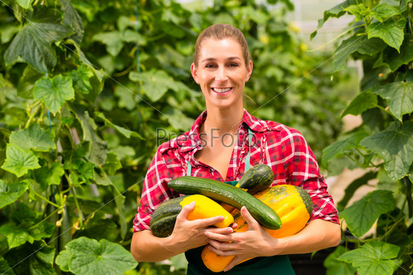 Female gardener at market gardening or nursery with apron and vegetables