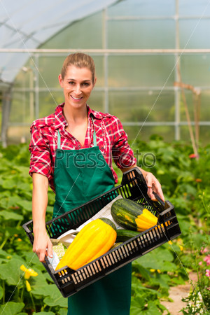 Female gardener at market gardening or nursery with apron and vegetables
