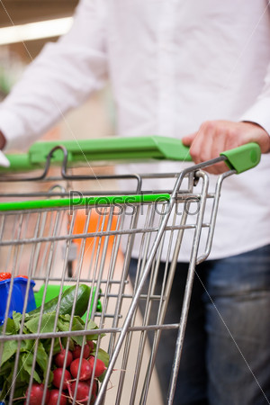 Cropped image of man shopping groceries for house