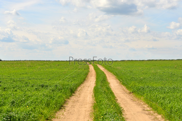 Summer landscape with green grass, road and clouds, stock photo
