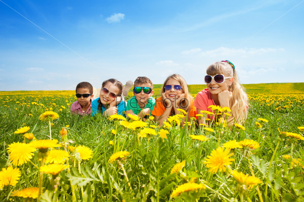 Group of happy diversity looking kids, boys and girls laying in the spring dandelion field
