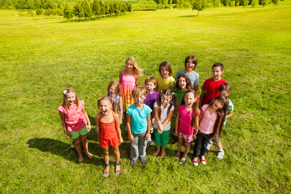 Big group of children, boys and girls, 8-11 years old standing on the green grass with happy faces shoot from above