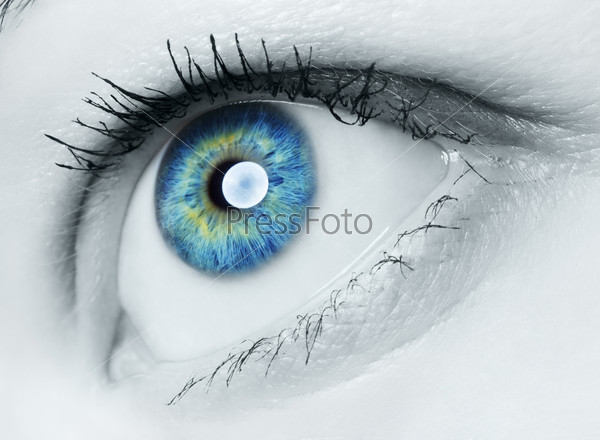 image of human eye, blue and green iris