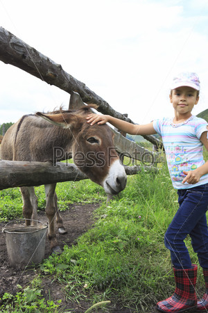 Little girl tenderly stroking a donkey.