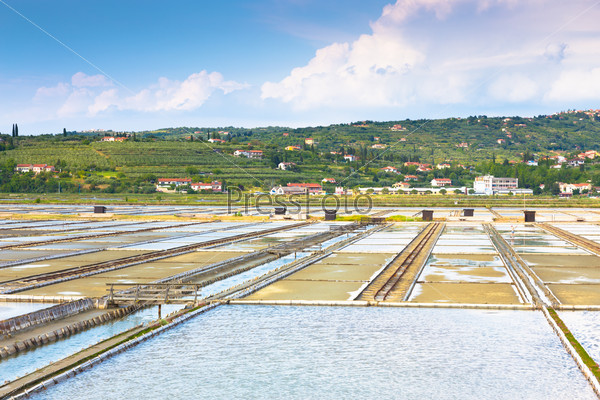 Natural park Secovlje Salina in Slovenia, Europe. View of Salt evaporation ponds with green mediterranean hills in background.