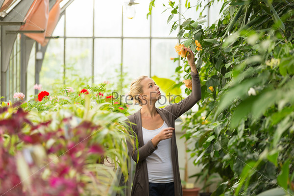Florists woman working in greenhouse.