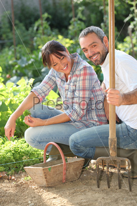 Couple gardening