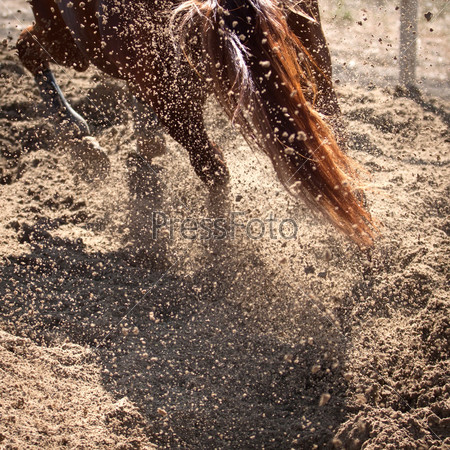 Sand and dust behind horse hooves