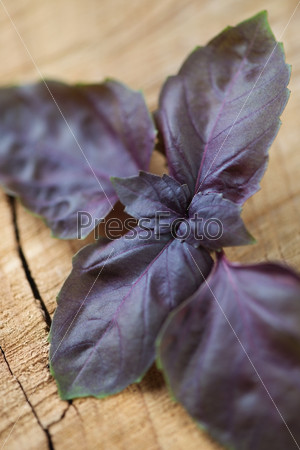 Close-up of purple basil leaves, wooden surface, vertical shot