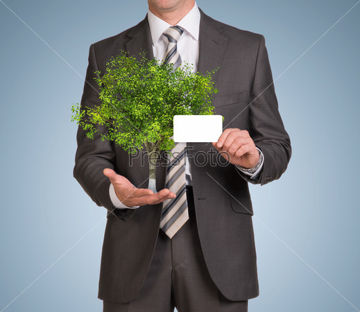 Businessman in suit hold empty card and green tree
