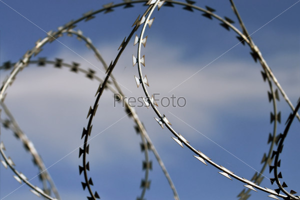 Barbed wire close up