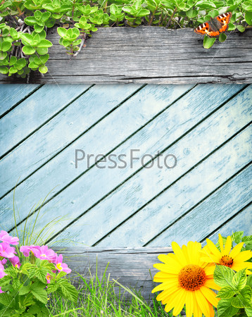 Summer background with old wooden plank, grass and green leaves