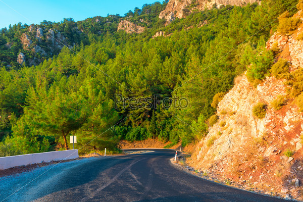 mountains covered with pine trees and mountain road