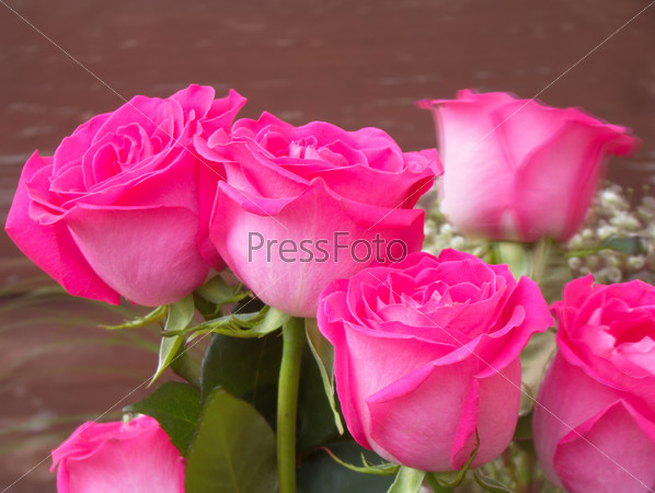 Bouquet of bright pink roses on old wooden wall background.