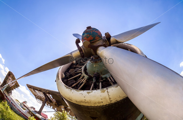 Engine and propeller of vintage aircraft against blue sky