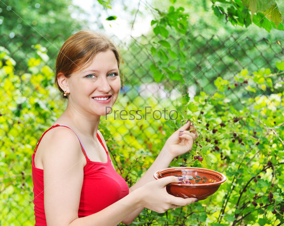 young woman in summer garden gathering berries