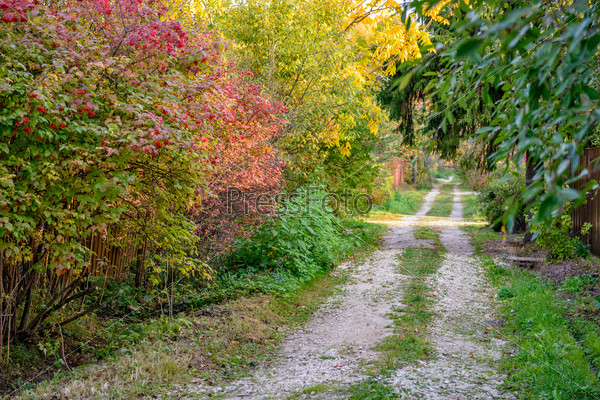 Autumn landscape on country road