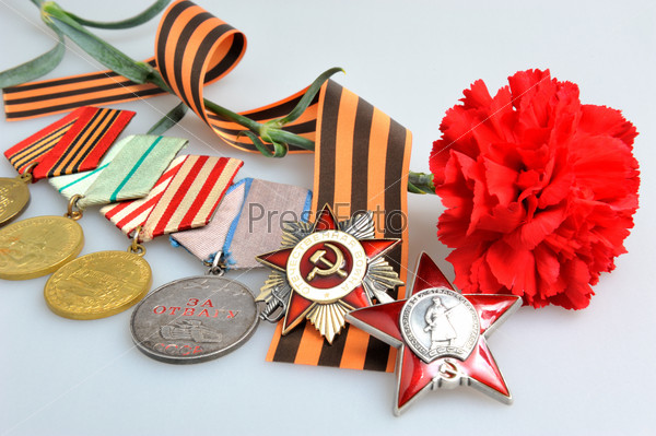 Single red carnation tied with Saint George ribbon and military awards of the Great Patriotic war on gray