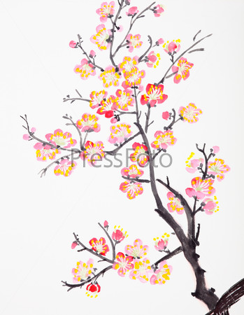 Traditional Chinese painting of flowers, plum blossom close up white background