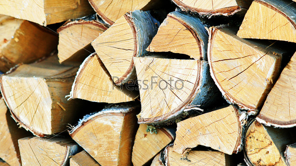 Birch firewood stacked in rows.