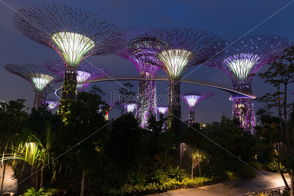Singapore Gardens by the Bay night view with amazing\
illumination.\
