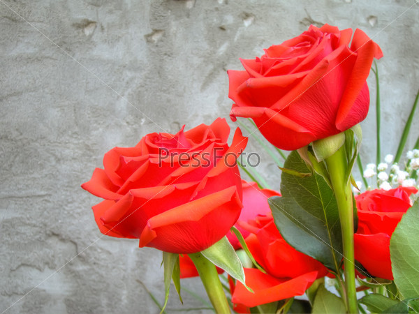Bouquet with bright red roses over grunge concrete wall background.